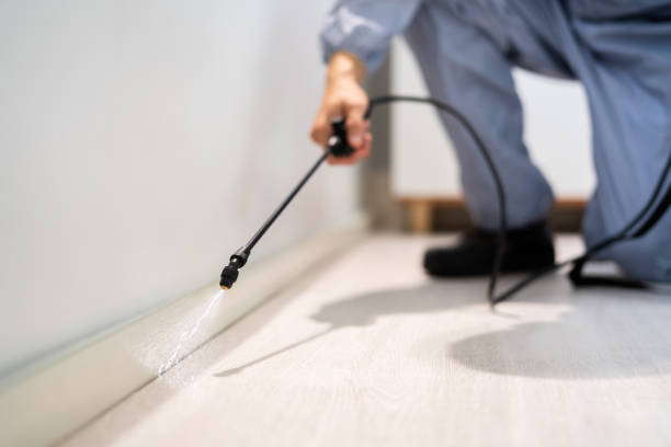 Licensed Pest Control service in Sylacauga, AL - Show Me Pest Control