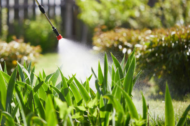 Tamper-Resistant Bait Stations for Rodents in Sylacauga