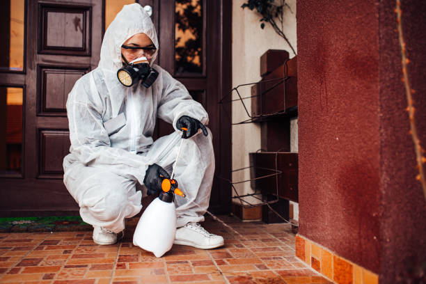 Attic and Crawl Space Rodent Treatment in Sylacauga