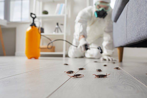 Commercial Rodent Management in Sylacauga